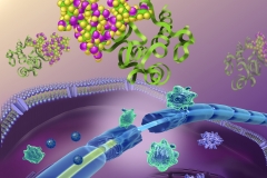 Interferon in Neuronal Degeneration